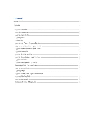 Conteúdo
Agave .................................................................................................................................................. 2

Espécies .............................................................................................................................................. 4

    Agave attenuata ............................................................................................................................. 4
    Agave americana ........................................................................................................................... 5
    Agave angustifolia......................................................................................................................... 6
    Agave palito ................................................................................................................................... 7
    Agave azul...................................................................................................................................... 7
    Agave sisal Agave Sisalana Perrine............................................................................................. 8
    Agave macroacantha – agave roseta .......................................................................................... 9
    Agave americana Mediopicta Alba ............................................................................................. 9
    Agave chrisantha......................................................................................................................... 10
    Agave victoriae-reginae .............................................................................................................. 10
    Agave vilmoriniana – agave polvo ........................................................................................... 11
    Agave salmiana............................................................................................................................ 12
    Agave hórrida Lem. Ex jacobi .................................................................................................. 13
    Furcraea selloa var. marginata................................................................................................... 13
    Agave desmettiana ...................................................................................................................... 14
    Agave parryi................................................................................................................................. 14
    Agave fourcroydes Agave-furcroidea ..................................................................................... 15
    Agave ghiesbreghtii .................................................................................................................... 15
    Agave marmorata ....................................................................................................................... 16
    Furcraea foetida ´Marginata´ .................................................................................................... 16
 