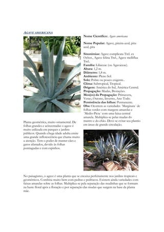AGAVE AMERICANA
                                              Nome Científico: Agave americana

                                              Nome Popular: Agave, piteira-azul, pita-
                                              azul, pita

                                              Sinonímias: Agave complicata Trel. ex
                                              Ochot., Agave felina Trel., Agave melliflua
                                              Trel..
                                              Família: Liliaceae (ou Agavaceae).
                                              Altura: 1,2 m.
                                              Diâmetro: 1,8 m.
                                              Ambiente: Pleno Sol.
                                              Solo: Pobre ou pouco exigente..
                                              Clima: Subtropical, Tropical.
                                              Origem: América do Sul, América Central.
                                              Propagação: Mudas, Brotações.
                                              Mes(es) da Propagação: Primavera,
                                              Verao, Outono, Inverno, Ano Todo.
                                              Persistência das folhas: Permanente.
                                              Obs: Ocorrem as variedades ´Marginata´ de
                                              folhas verdes com margens amarelas e
                                              ´Medio-Picta´ com uma faixa central
                                              amarela. Multiplica-se pelas mudas do
Planta geométrica, muito ornamental. De       mastro e do chão. Deve-se evitar seu plantio
folhas grandes e acinzentadas o agave é       em áreas de grande circulação.
muito utilizada em parques e jardins
públicos. Quando chega idade adulta emite
uma grande inflorescência que chama muito
a atenção. Tem o poder de manter cães e
gatos afastados, devido às folhas
pontiagudas e com espinhos.




No paisagismo, o agave é uma planta que se encaixa perfeitamente nos jardins tropicais e
geométricos. Combina muito bem com pedras e pedriscos. Existem ainda variedades com
faixas amarelas sobre as folhas. Multiplica-se pela separação das mudinhas que se formam
na haste floral após a floração e por separação das mudas que surgem na base da planta
mãe.
 