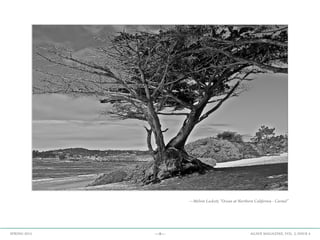 —9— AGAVE MAGAZINE, VOL. 2, ISSUE 4SPRING 2015
—Melvin Lockett, “Ocean at Northern California - Carmel”
 