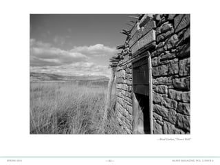—55— AGAVE MAGAZINE, VOL. 2, ISSUE 4SPRING 2015
—Brad Garber, “Desert Wall”
 