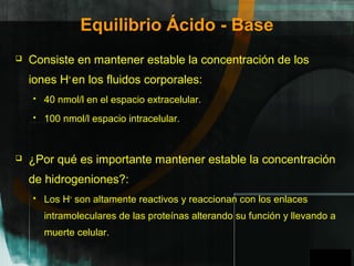 GPO
Equilibrio Ácido - Base
 Consiste en mantener estable la concentración de los
iones H+
en los fluidos corporales:
 40 nmol/l en el espacio extracelular.
 100 nmol/l espacio intracelular.
 ¿Por qué es importante mantener estable la concentración
de hidrogeniones?:
 Los H+
son altamente reactivos y reaccionan con los enlaces
intramoleculares de las proteínas alterando su función y llevando a
muerte celular.
A
 