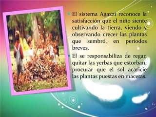  El sistema Agazzi reconoce la

satisfacción que el niño siente
cultivando la tierra, viendo y
observando crecer las plantas
que sembró, en períodos
breves.
 El se responsabiliza de regar,
quitar las yerbas que estorban,
procurar que el sol acaricie
las plantas puestas en macetas.

 