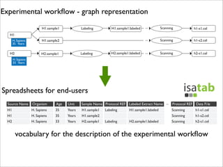 Experimental workﬂow - graph representation
Labeling

H1.sample1.labeled

...

Scanning

h1-s1.cel

...

H1.sample1

Scanning

h1-s2.cel

...

Scanning

h2-s1.cel

H1
H. Sapiens
35 Years

H2

H1.sample2
Labeling

H2.sample1

H2.sample1.labeled

H. Sapiens
33 Years

Spreadsheets for end-users
...
H1

H. Sapiens

35

Years

H1.sample1

H1

H. Sapiens

35

Years

H1.sample2

H2

H. Sapiens

33

Years

H2.sample1

Labeling

H1.sample1.labeled
H2.sample1.labeled

h1-s1.cel

Scanning
Labeling

Scanning

h1-s2.cel

Scanning

h2-s1.cel

vocabulary for the description of the experimental workﬂow

 