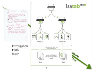 6
sem
antics
structure
investigation
study
assay
 