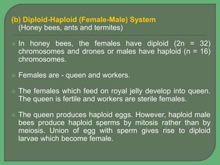 (b) Diploid-Haploid (Female-Male) System
(Honey bees, ants and termites)
 In honey bees, the females have diploid (2n = 32)
chromosomes and drones or males have haploid (n = 16)
chromosomes.
 Females are - queen and workers.
 The females which feed on royal jelly develop into queen.
The queen is fertile and workers are sterile females.
 The queen produces haploid eggs. However, haploid male
bees produce haploid sperms by mitosis rather than by
meiosis. Union of egg with sperm gives rise to diploid
larvae which become female.
 