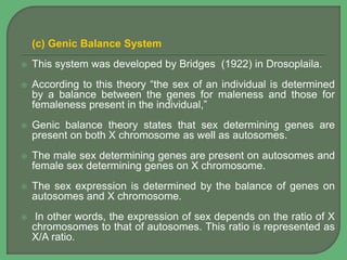 (c) Genic Balance System
 This system was developed by Bridges (1922) in Drosoplaila.
 According to this theory “the sex of an individual is determined
by a balance between the genes for maleness and those for
femaleness present in the individual,”
 Genic balance theory states that sex determining genes are
present on both X chromosome as well as autosomes.
 The male sex determining genes are present on autosomes and
female sex determining genes on X chromosome.
 The sex expression is determined by the balance of genes on
autosomes and X chromosome.
 In other words, the expression of sex depends on the ratio of X
chromosomes to that of autosomes. This ratio is represented as
X/A ratio.
 
