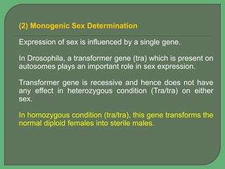 (2) Monogenic Sex Determination
Expression of sex is influenced by a single gene.
In Drosophila, a transformer gene (tra) which is present on
autosomes plays an important role in sex expression.
Transformer gene is recessive and hence does not have
any effect in heterozygous condition (Tra/tra) on either
sex.
In homozygous condition (tra/tra), this gene transforms the
normal diploid females into sterile males.
 