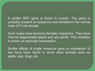  A similar SRY gene is found in human. The gene is
probably present on autosome and transforms the normal
male (XY) into female.
 Such males have feminine (female) characters. They have
internal degenerated testes and are sterile. This condition
is known as testicular feminization.
 Similar effects of single recessive gene on expression of
sex have been found in some other animals such as
goats, pigs, dogs, etc.
 