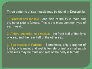 Three patterns of sex mosaic may be found in Drosophila:
1. Bilateral sex mosaic - one side of the fly is male and
the other side is female. This is the most common type of
sex mosaic.
2. Antero-posterior sex mosaic - the front half of the fly is
one sex and the rear half of the other sex.
3. Sex mosaic in Patches - Sometimes, only a quarter of
the body is male, and rest is female or just a small patch
of tissues may be male and rest of the body is female.
 