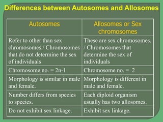 Autosomes Allosomes or Sex
chromosomes
Refer to other than sex
chromosomes./ Chromosomes
that do not determine the sex
of individuals
These are sex chromosomes.
/ Chromosomes that
determine the sex of
individuals
Chromosome no. = 2n-1 Chromosome no. = 2
Morphology is similar in male
and female.
Morphology is different in
male and female.
Number differs from species
to species.
Each diploid organism
usually has two allosomes.
Do not exhibit sex linkage. Exhibit sex linkage.
Differences between Autosomes and Allosomes
 