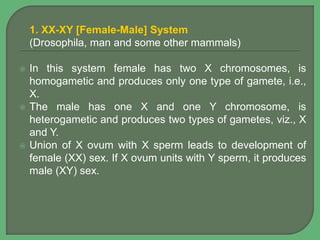 1. XX-XY [Female-Male] System
(Drosophila, man and some other mammals)
 In this system female has two X chromosomes, is
homogametic and produces only one type of gamete, i.e.,
X.
 The male has one X and one Y chromosome, is
heterogametic and produces two types of gametes, viz., X
and Y.
 Union of X ovum with X sperm leads to development of
female (XX) sex. If X ovum units with Y sperm, it produces
male (XY) sex.
 