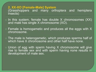 2. XX-XO [Female-Male] System
(Grasshoppers and many orthoptera and hemiptera
insects)
 In this system, female has double X chromosomes (XX)
and male has single X chromosome (XO).
 Female is homogametic and produces all the eggs with X
chromosome.
 The male is heterogametic, which produces sperms half of
which have X chromosome and other half have none.
 Union of egg with sperm having X chromosome will give
rise to female sex and with sperm having none results in
development of male sex.
 
