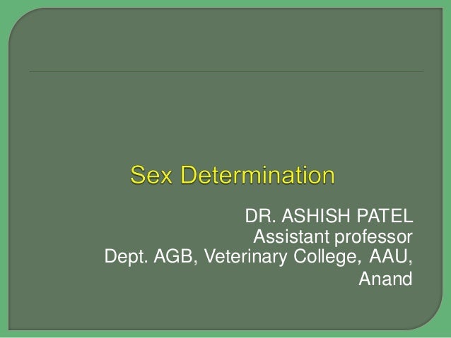 Sex Determination - 