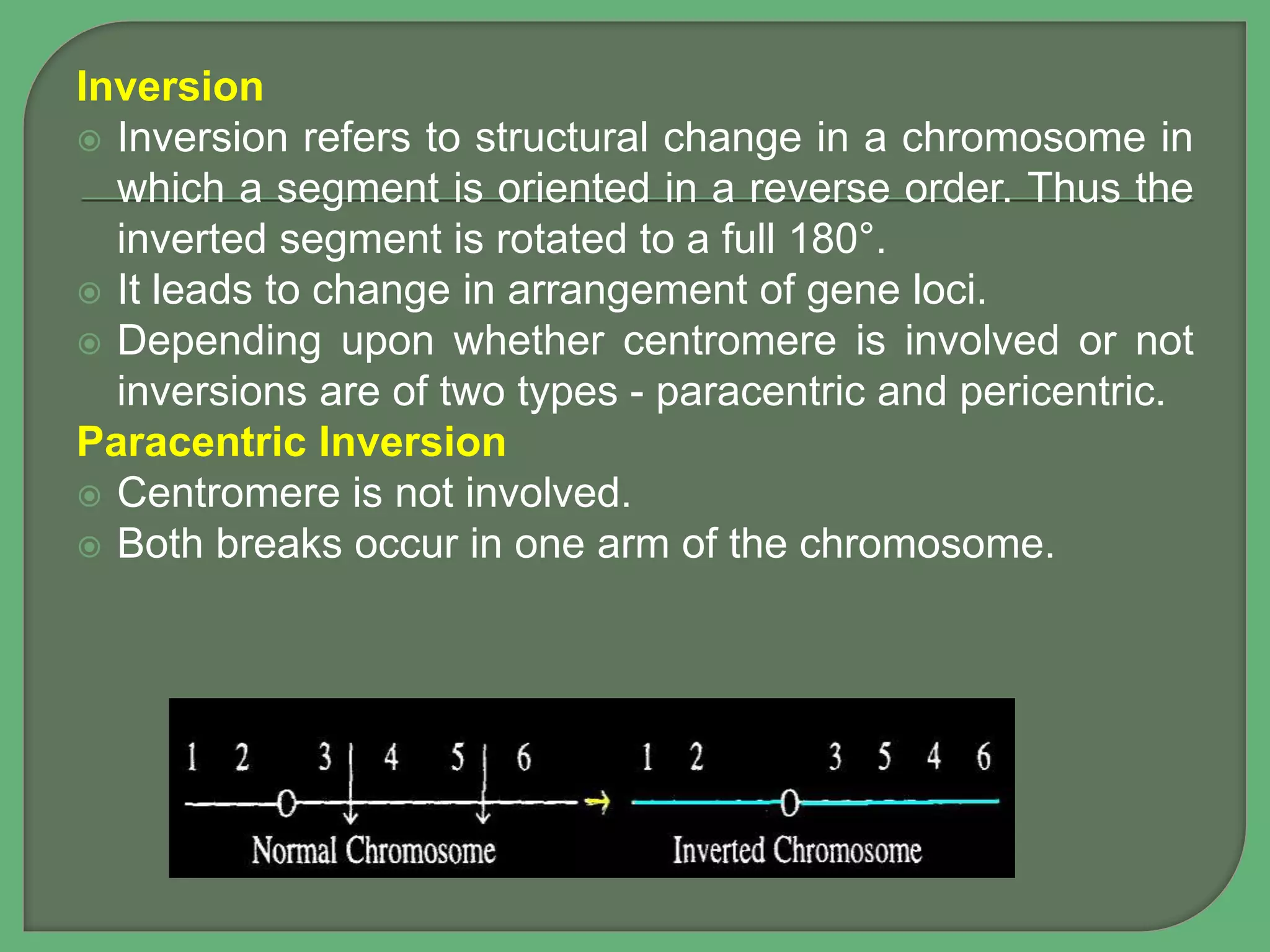 Inversion
 Inversion refers to structural change in a chromosome in
which a segment is oriented in a reverse order. Thus the
inverted segment is rotated to a full 180°.
 It leads to change in arrangement of gene loci.
 Depending upon whether centromere is involved or not
inversions are of two types - paracentric and pericentric.
Paracentric Inversion
 Centromere is not involved.
 Both breaks occur in one arm of the chromosome.
 