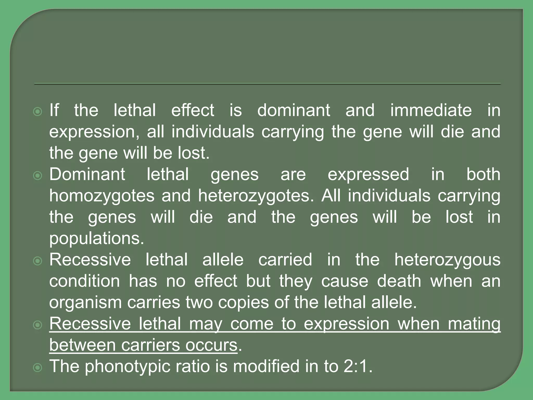  If the lethal effect is dominant and immediate in
expression, all individuals carrying the gene will die and
the gene will be lost.
 Dominant lethal genes are expressed in both
homozygotes and heterozygotes. All individuals carrying
the genes will die and the genes will be lost in
populations.
 Recessive lethal allele carried in the heterozygous
condition has no effect but they cause death when an
organism carries two copies of the lethal allele.
 Recessive lethal may come to expression when mating
between carriers occurs.
 The phonotypic ratio is modified in to 2:1.
 