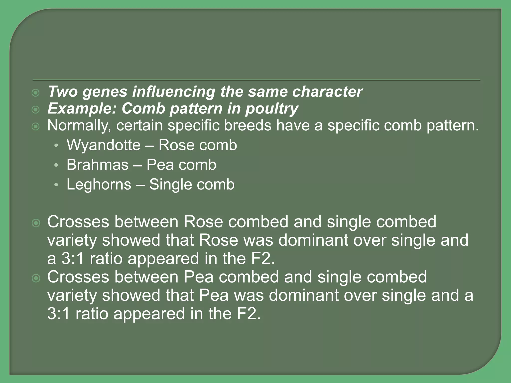  Two genes influencing the same character
 Example: Comb pattern in poultry
 Normally, certain specific breeds have a specific comb pattern.
• Wyandotte – Rose comb
• Brahmas – Pea comb
• Leghorns – Single comb
 Crosses between Rose combed and single combed
variety showed that Rose was dominant over single and
a 3:1 ratio appeared in the F2.
 Crosses between Pea combed and single combed
variety showed that Pea was dominant over single and a
3:1 ratio appeared in the F2.
 