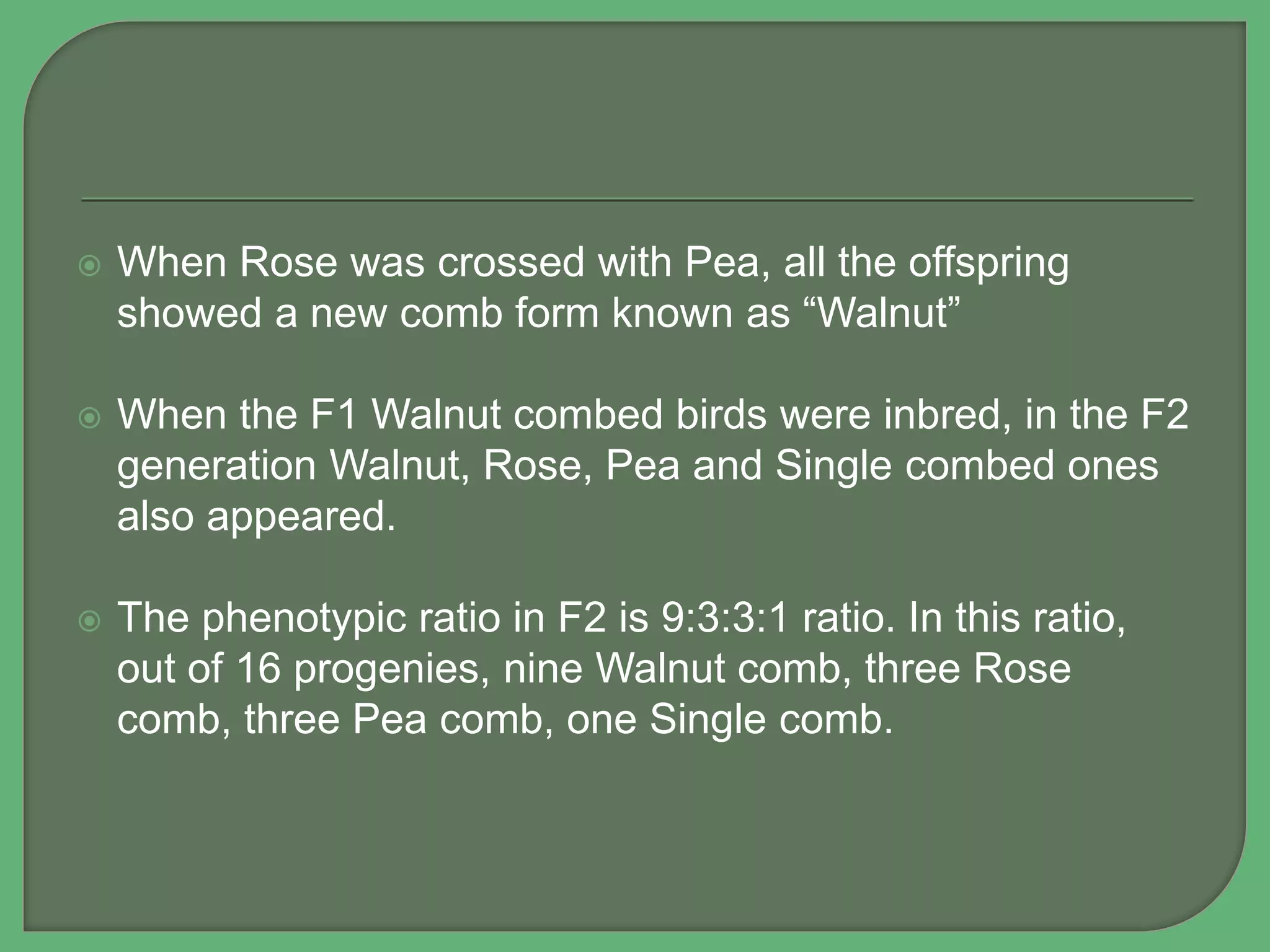 When Rose was crossed with Pea, all the offspring
showed a new comb form known as “Walnut”
 When the F1 Walnut combed birds were inbred, in the F2
generation Walnut, Rose, Pea and Single combed ones
also appeared.
 The phenotypic ratio in F2 is 9:3:3:1 ratio. In this ratio,
out of 16 progenies, nine Walnut comb, three Rose
comb, three Pea comb, one Single comb.
 