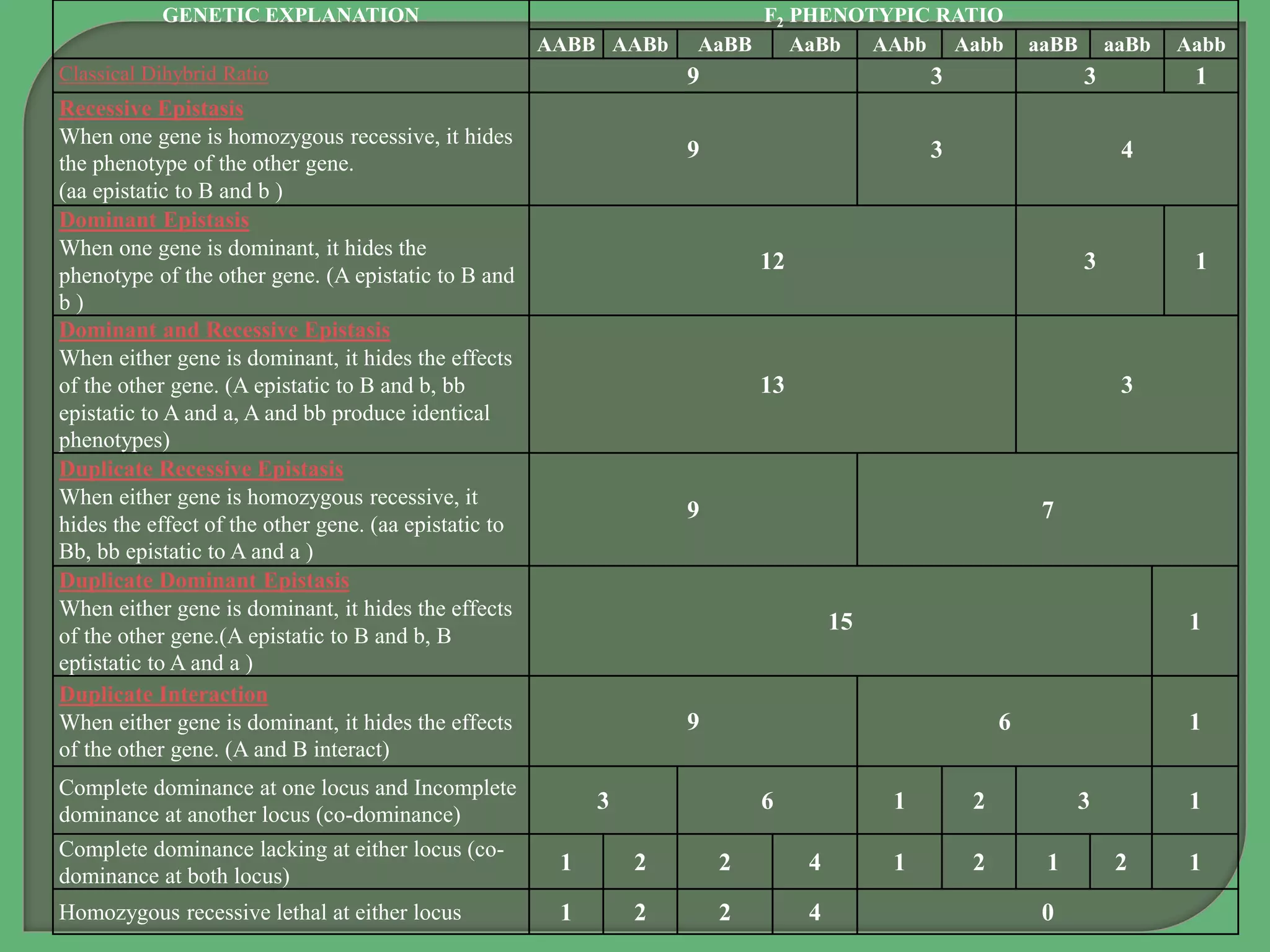 GENETIC EXPLANATION F2 PHENOTYPIC RATIO
AABB AABb AaBB AaBb AAbb Aabb aaBB aaBb Aabb
Classical Dihybrid Ratio 9 3 3 1
Recessive Epistasis
When one gene is homozygous recessive, it hides
the phenotype of the other gene.
(aa epistatic to B and b )
9 3 4
Dominant Epistasis
When one gene is dominant, it hides the
phenotype of the other gene. (A epistatic to B and
b )
12 3 1
Dominant and Recessive Epistasis
When either gene is dominant, it hides the effects
of the other gene. (A epistatic to B and b, bb
epistatic to A and a, A and bb produce identical
phenotypes)
13 3
Duplicate Recessive Epistasis
When either gene is homozygous recessive, it
hides the effect of the other gene. (aa epistatic to
Bb, bb epistatic to A and a )
9 7
Duplicate Dominant Epistasis
When either gene is dominant, it hides the effects
of the other gene.(A epistatic to B and b, B
eptistatic to A and a )
15 1
Duplicate Interaction
When either gene is dominant, it hides the effects
of the other gene. (A and B interact)
9 6 1
Complete dominance at one locus and Incomplete
dominance at another locus (co-dominance)
3 6 1 2 3 1
Complete dominance lacking at either locus (co-
dominance at both locus)
1 2 2 4 1 2 1 2 1
Homozygous recessive lethal at either locus 1 2 2 4 0
 