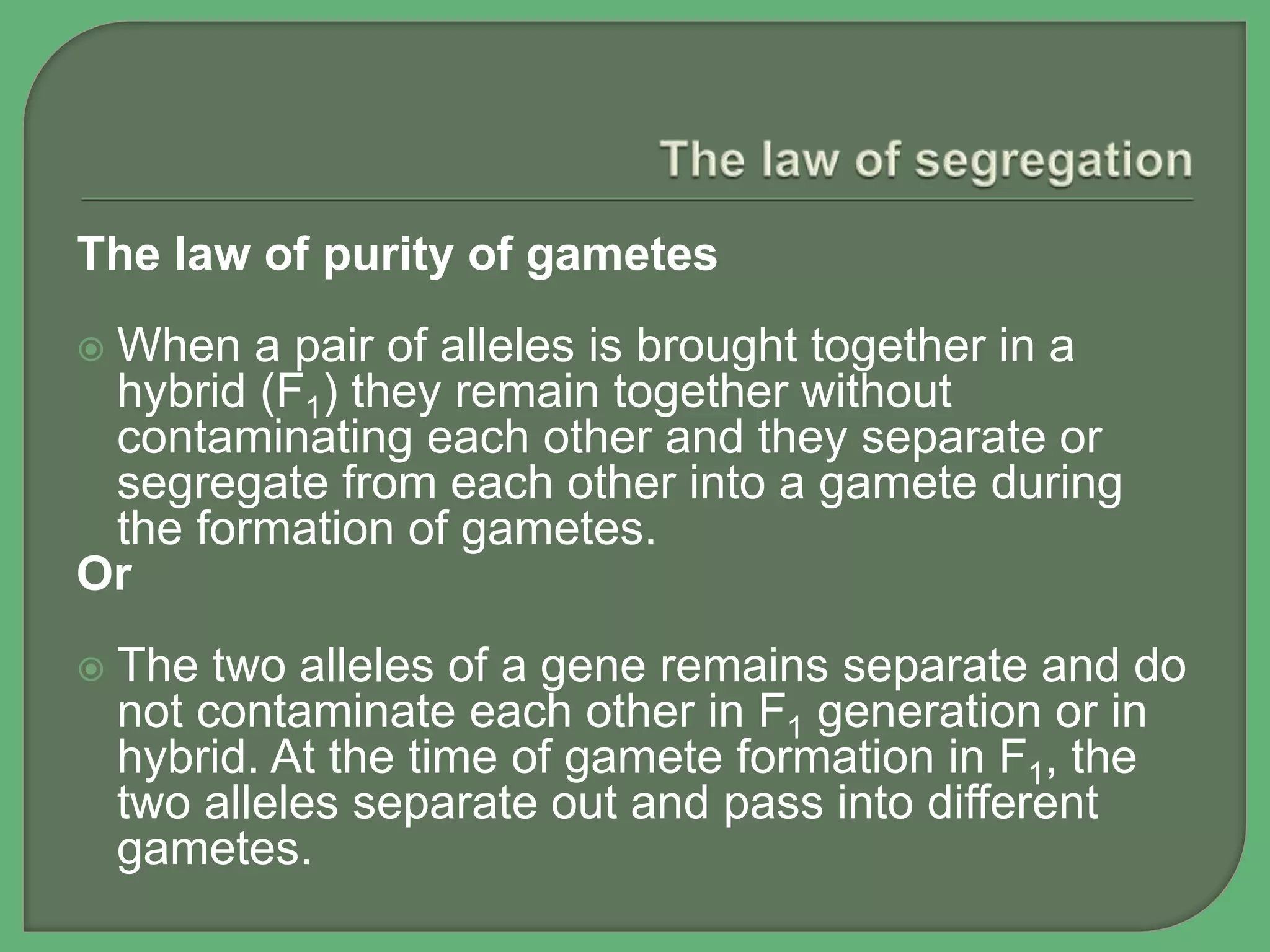 The law of purity of gametes
 When a pair of alleles is brought together in a
hybrid (F1) they remain together without
contaminating each other and they separate or
segregate from each other into a gamete during
the formation of gametes.
Or
 The two alleles of a gene remains separate and do
not contaminate each other in F1 generation or in
hybrid. At the time of gamete formation in F1, the
two alleles separate out and pass into different
gametes.
 