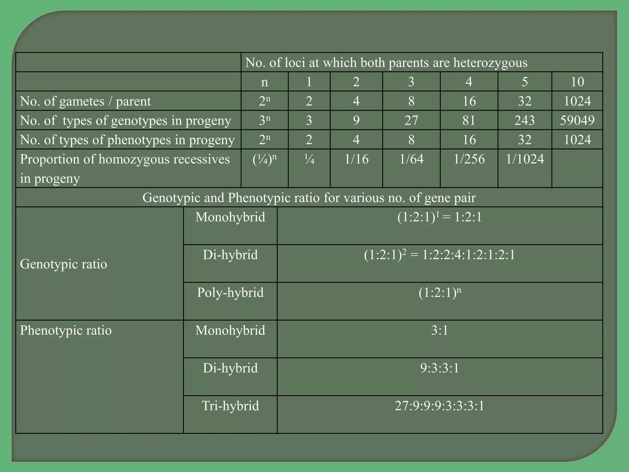 No. of loci at which both parents are heterozygous
n 1 2 3 4 5 10
No. of gametes / parent 2n 2 4 8 16 32 1024
No. of types of genotypes in progeny 3n 3 9 27 81 243 59049
No. of types of phenotypes in progeny 2n 2 4 8 16 32 1024
Proportion of homozygous recessives
in progeny
(¼)n ¼ 1/16 1/64 1/256 1/1024
Genotypic and Phenotypic ratio for various no. of gene pair
Genotypic ratio
Monohybrid (1:2:1)1 = 1:2:1
Di-hybrid (1:2:1)2 = 1:2:2:4:1:2:1:2:1
Poly-hybrid (1:2:1)n
Phenotypic ratio Monohybrid 3:1
Di-hybrid 9:3:3:1
Tri-hybrid 27:9:9:9:3:3:3:1
 