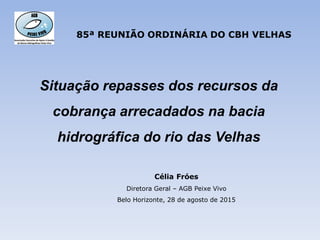 Situação repasses dos recursos da
cobrança arrecadados na bacia
hidrográfica do rio das Velhas
Célia Fróes
Diretora Geral – AGB Peixe Vivo
Belo Horizonte, 28 de agosto de 2015
85ª REUNIÃO ORDINÁRIA DO CBH VELHAS
 