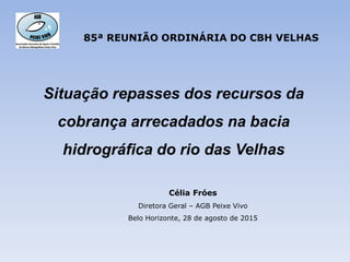 Situação repasses dos recursos da
cobrança arrecadados na bacia
hidrográfica do rio das Velhas
Célia Fróes
Diretora Geral ...