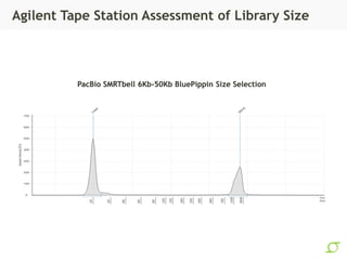 Agilent Tape Station Assessment of Library Size
PacBio SMRTbell 6Kb-50Kb BluePippin Size Selection
 