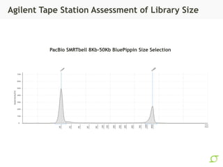 Agilent Tape Station Assessment of Library Size
PacBio SMRTbell 8Kb-50Kb BluePippin Size Selection
 