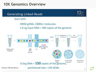 10X Genomics Overview
(Church 10X Genomics)
 
