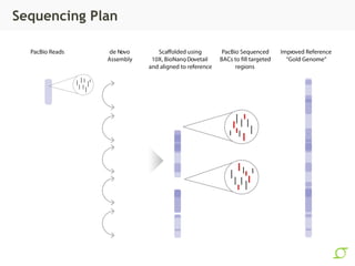 Sequencing Plan
 
