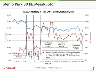 Menlo Park 30 kb MegaRuptor
0.0
200.0
400.0
600.0
800.0
1,000.0
1,200.0
1,400.0
8,000
9,000
10,000
11,000
12,000
13,000
14,000
15,000
1 2 3 4 5 6 7 8 9 10 11 12 13 14 15 16 17 18 19 20 21 22 23 24 25 26 27 28 29 30 31 32 33 34 35 36 37 38 39 40
ROIYield(Mbases)
AverageROI(bp)
SMRT Cell
NA19240 Library 7 - Per SMRT Cell ROI length/yield
ROI length (bp) ROI Yield (Mbases)
Titration
4hrP6bind
8Paclot#
231848
30minP6bind
8Paclot#
231848
4 hr P6 bind
8Pac lot #
231818
4 hr P6 bind
8Pac lot #
231848 4 hr P6 bind
8Pac lot #
231818
• Post-BluePippin DNA Damage Repair
• 4 hour or 30 minute P6 polymerase
bind
30kb MP
 