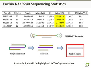 PacBio NA19240 Sequencing Statistics
Sample 8 Packs Reads Mbp (Pol) RL Mbp(ROI) RL ROI Mbp/Cell
NA19240 37 16,088,050 214,621 13,605 195,619 12,487 661
HG00733 30 15,858,313 209,619 13,193 190,430 11,958 793
HG00514 40 20,707,629 311,500 13,473 277,690 13,473 868
NA12878* 22 11,029,811 165,153 14,949 146,833 13,174 962
Assembly Stats will be highlighted in Tina’s presentation.
 