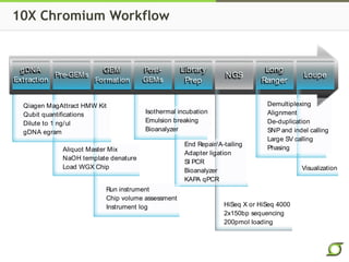 10X Chromium Workflow
WGX Beta Product Workflow
gDNA
Extraction
GEM
Formation
Library
Prep
Long
Ranger
Pre-GEMs
Post-
GEMs
NGS Loupe
Qiagen MagAttract HMW Kit
Qubit quantifications
Dilute to 1 ng/ul
gDNA egram
Aliquot Master Mix
NaOH template denature
Load WGX Chip
Run instrument
Chip volume assessment
Instrument log
Isothermal incubation
Emulsion breaking
Bioanalyzer
HiSeq X or HiSeq 4000
2x150bp sequencing
200pmol loading
End Repair/A-tailing
Adapter ligation
SI PCR
Bioanalyzer
KAPA qPCR
Visualization
Demultiplexing
Alignment
De-duplication
SNP and indel calling
Large SV calling
Phasing
 