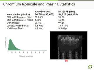 NA19240 (MGI) NA12878 (10X)
Molecule Length (kb): 26,768 (±33,673) 94,923 (±64,103)
DNA in Molecules > 10kb 50.85 % 95.0%
DNA in Molecules > 100kb 1.38% 36.4%
SNPs Phased: 99.1% 97.8%
Longest Phase Block: 9.6 Mbp 34.7 Mbp
N50 Phase Block: 1.9 Mbp 9.5 Mbp
Chromium Molecule and Phasing Statistics
 
