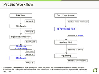 PacBio Workflow
DNA Shear
DNA Repair
Ligation/Exonuclease
BluePippin
>18kb Sizing
DNA Repair
AMPure PB
AMPure PB
3x AMPure PB
Rinse wells
AMPure PB
AMPure PB
Seq. Primer Anneal
P6 Polymerase Bind
MagBead Bind
Sequencing
30 minutes or 4 hours
20 minutes to 2 hours
Denature primer prior to use
4 to 6 hour collection time
• Adding DNA Damage Repair after BluePippin sizing increased the average Reads of Insert length by ~1 kb.
• Extending the P6 Polymerase Binding time from 30 minutes to 4 hours improved library complex loading per
SMRT cell
 