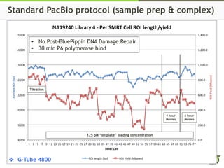 Standard PacBio protocol (sample prep & complex)
0.0
200.0
400.0
600.0
800.0
1,000.0
1,200.0
1,400.0
8,000
9,000
10,000
11,000
12,000
13,000
14,000
15,000
1 3 5 7 9 11 13 15 17 19 21 23 25 27 29 31 33 35 37 39 41 43 45 47 49 51 53 55 57 59 61 63 65 67 69 71 73 75 77
ROIYield(Mbases)
AverageROI(bp)
SMRT Cell
NA19240 Library 4 - Per SMRT Cell ROI length/yield
ROI length (bp) ROI Yield (Mbases)
Titration
• No Post-BluePippin DNA Damage Repair
• 30 min P6 polymerase bind
6 hour
Movies
4 hour
Movies
125 pM “on plate” loading concentration
G-Tube 4800✜
 