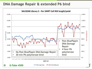 DNA Damage Repair & extended P6 bind
0.0
200.0
400.0
600.0
800.0
1,000.0
1,200.0
1,400.0
8,000
9,000
10,000
11,000
12,000
13,000
14,000
15,000
1 2 3 4 5 6 7 8 9 101112131415161718192021222324252627282930313233343536373839404142434445464748
ROIYield(Mbases)
AverageROI(bp)
SMRT Cell
NA19240 Library 5 - Per SMRT Cell ROI length/yield
ROI length (bp) ROI Yield (Mbases)
• No Post-BluePippin DNA Damage Repair
• 30 min P6 polymerase bind
• Post-BluePippin
DNA Damage
Repair
• 4 hour P6
polymerase
bind
G-Tube 4500✪
 