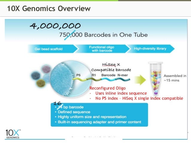 10x genomics