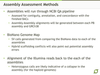 Assembly Assessment Methods
• Assemblies will run through NCBI QA pipeline
• Assessed for contiguity, annotation, and concordance with the
finished BACs
• Assembly Assembly alignments will be generated between each PB
assembly and GRCh38
• BioNano Genome Map
• SV calls generated from comparing the BioNano data to each of the
assemblies
• Hybrid scaffolding conflicts will also point out potential assembly
errors
• Alignment of the Illumina reads back to the each of the
assemblies
• Heterozygous calls are likely indicative of a collapse in the
assembly (for the haploid genomes)
 