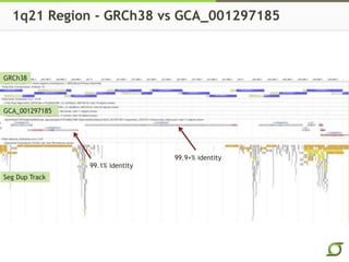 1q21 Region - GRCh38 vs GCA_001297185
GRCh38
GCA_001297185
Seg Dup Track
99.9+% identity
99.1% identity
 
