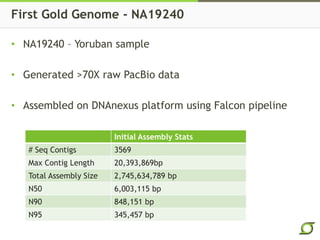 First Gold Genome - NA19240
Initial Assembly Stats
# Seq Contigs 3569
Max Contig Length 20,393,869bp
Total Assembly Size 2,745,634,789 bp
N50 6,003,115 bp
N90 848,151 bp
N95 345,457 bp
• NA19240 – Yoruban sample
• Generated >70X raw PacBio data
• Assembled on DNAnexus platform using Falcon pipeline
 