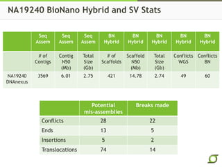 NA19240 BioNano Hybrid and SV Stats
Seq
Assem
Seq
Assem
Seq
Assem
BN
Hybrid
BN
Hybrid
BN
Hybrid
BN
Hybrid
BN
Hybrid
# of
Contigs
Contig
N50
(Mb)
Total
Size
(Gb)
# of
Scaffolds
Scaffold
N50
(Mb)
Total
Size
(Gb)
Conflicts
WGS
Conflicts
BN
NA19240
DNAnexus
3569 6.01 2.75 421 14.78 2.74 49 60
Potential
mis-assemblies
Breaks made
Conflicts 28 22
Ends 13 5
Insertions 5 2
Translocations 74 14
 