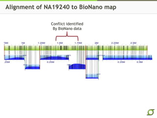 Alignment of NA19240 to BioNano map
Conflict identified
By BioNano data
 