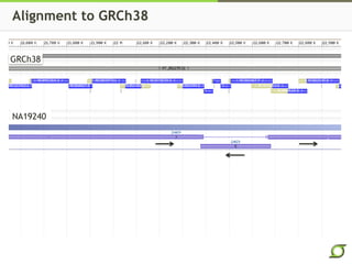 Alignment to GRCh38
GRCh38
NA19240
 