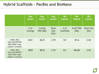 Hybrid Scaffolds – PacBio and BioNano
Seq
Assem
Seq
Assem
Seq
Assem
BN
Hybrid
BN
Hybrid
BN
Hybrid
# of
Contigs
Contig
N50 (Mb)
Total
Size
(Gb)
# of
Scaffolds
Scaff N50
(Mb)
Total Size
(Gb)
CHM1 (P6)
GCA_001297185
MGI CHM1 map
(Jason’s version)
3641 26.9 2.99 161 47.6 2.84
CHM1 (P6)
GCA_001307025
MGI CHM1 Map
(Adam’s version)
4850 20.6 2.94 221 40.04 2.82
 