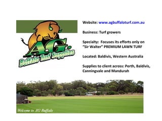 Website:  www.agbuffaloturf.com.au Business: Turf growers Specialty:  Focuses its efforts only on “ Sir Walter” PREMIUM LAWN TURF Located: Baldivis, Western Australia Supplies to client across: Perth, Baldivis, Canningvale and Mandurah 