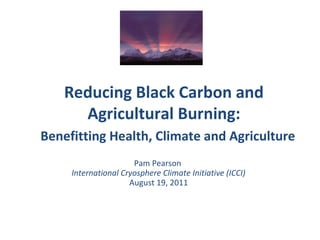 Reducing Black Carbon and
     Agricultural Burning:
Benefitting Health, Climate and Agriculture
                      Pam Pearson
     International Cryosphere Climate Initiative (ICCI)
                     August 19, 2011
 