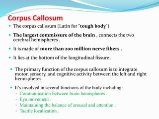 Agenesis of The Corpus Callosum ACC | PPTX