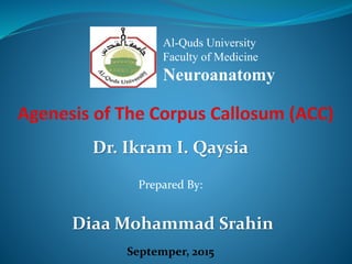 Dr. Ikram I. Qaysia
Prepared By:
Diaa Mohammad Srahin
Septemper, 2015
Al-Quds University
Faculty of Medicine
Neuroanatomy
 