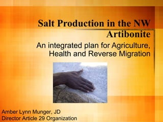 Salt Production in the NW
Artibonite
An integrated plan for Agriculture,
Health and Reverse Migration
Amber Lynn Munger, JD
Director Article 29 Organization
 